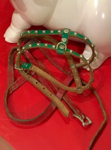 Harness, Animal