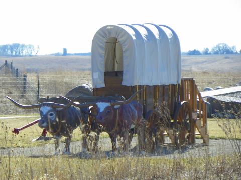 Wagon, Covered